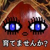 蘑菇视频 